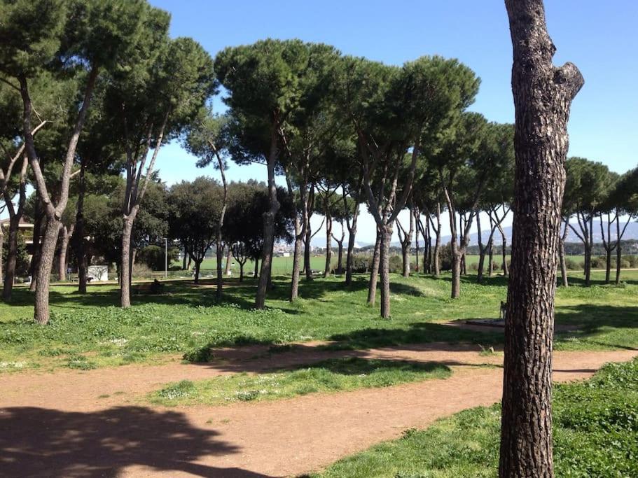 Casa Vacanze Nonna Elena Roma Ngoại thất bức ảnh